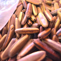 Palitos Seeds
