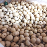 White Açaí Seeds