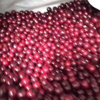 Burgundy Açaí Seeds