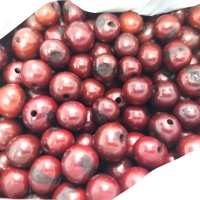 Brown Açaí Seeds