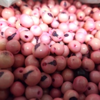 Pink Açaí Seeds
