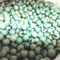 Light Green Açaí Seeds