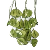 Ivory Garden – Handmade Tagua Elegance